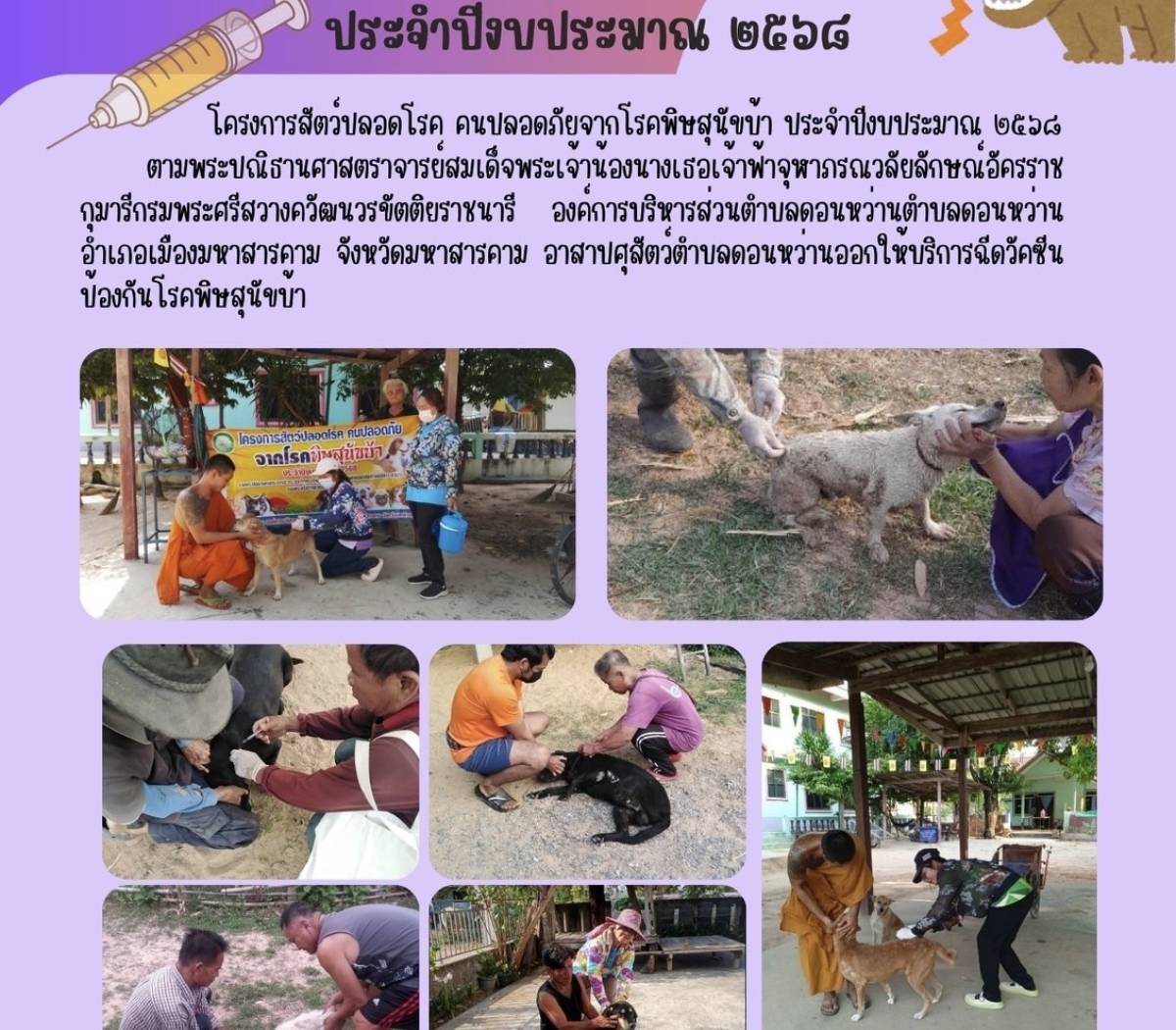 โครงการสัตว์ปลอดโรค คนปลอดภัยจากโรคพิษสุนัขบ้า ประจำปีงบประมาณ ๒๕๖๘