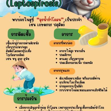 ประกาศประชาสัมพันธ์ โรคไข้ฉี่หนู (Leptospirosis)